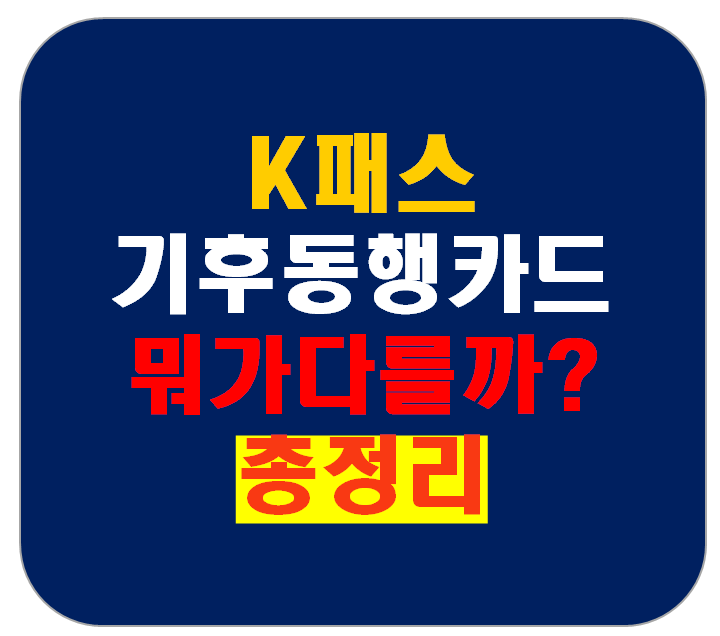 K패스와 기후동행카드, 뭐가 다를까?