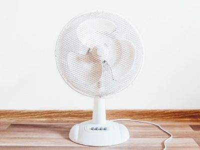 서큘레이터와 선풍기