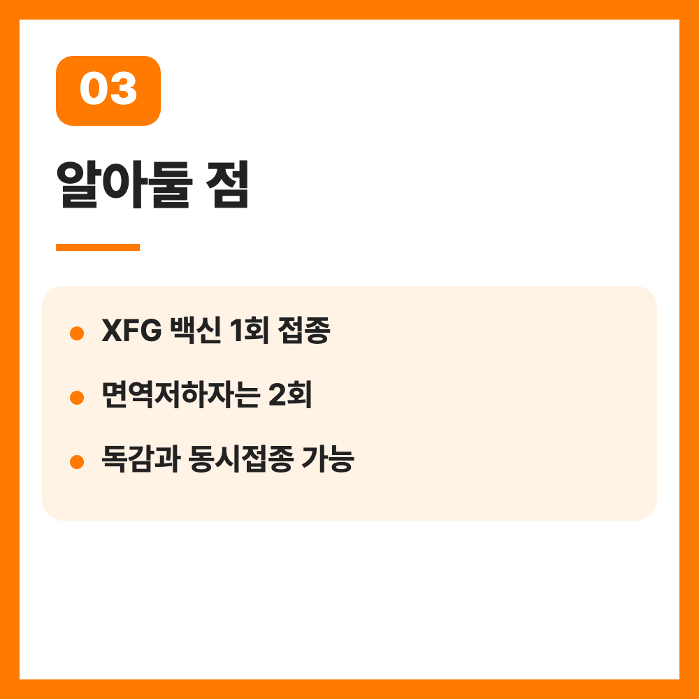 코로나19 예방접종 2026 무료 대상 일정 독감 동시접종 총정리