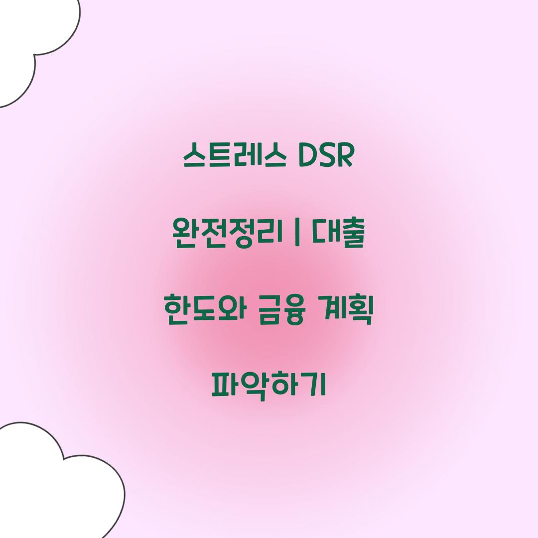 스트레스 DSR 완전정리