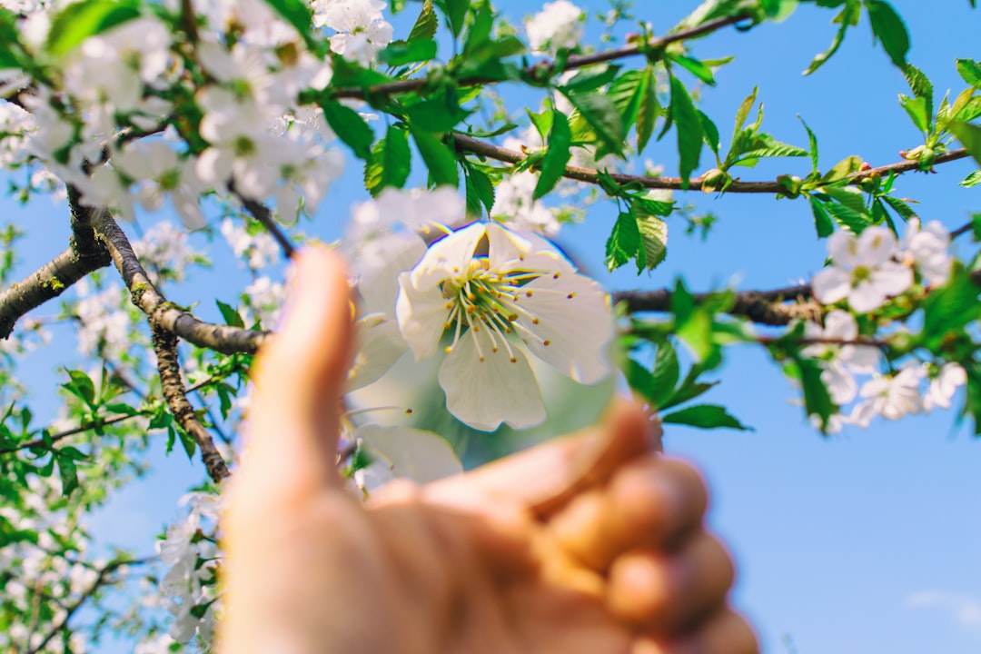 April