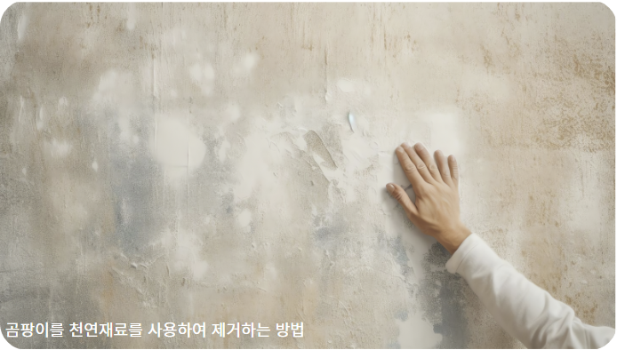 집안에 생긴 곰팡이를 천연재료를 사용하여 제거하는 방법