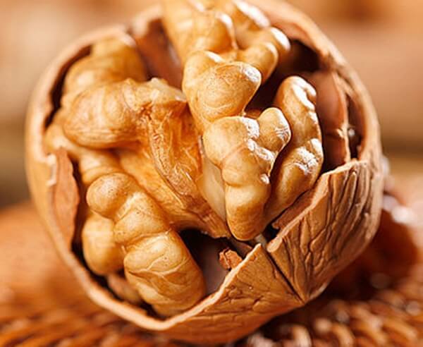 호두 효능