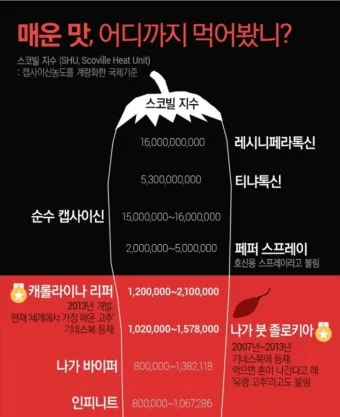 매운 라면 스코빌 지수 비교 신라면 열라면 불닭_10