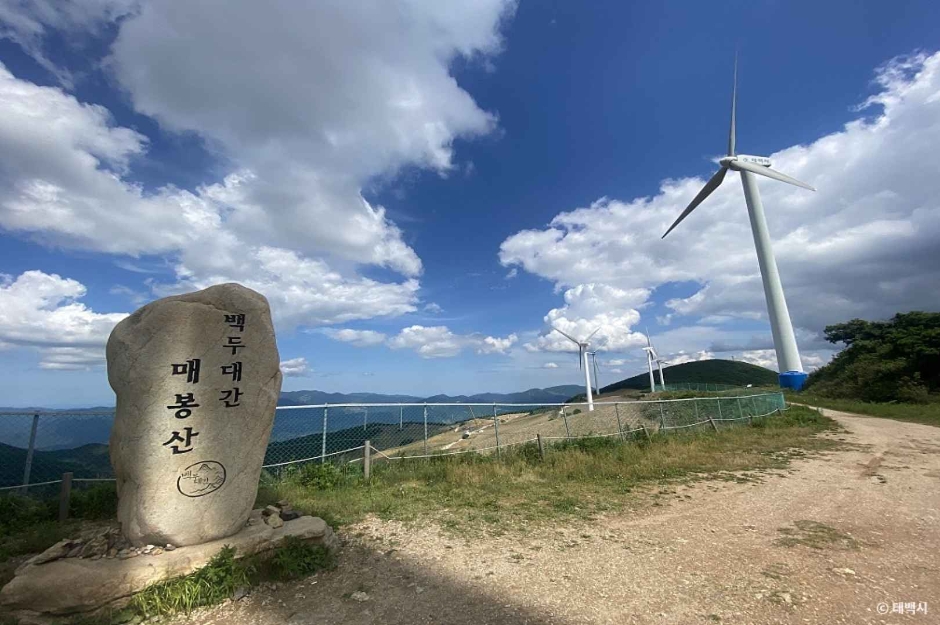 태백 가볼만한곳 베스트10