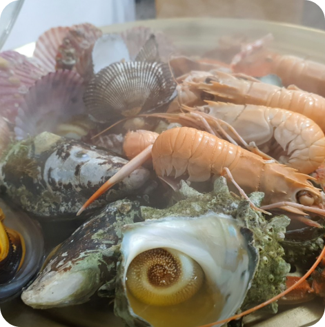 스타의고장 다찌 한상 통영 맛집