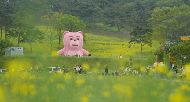 2024 화순 고인돌 가을꽃 축제