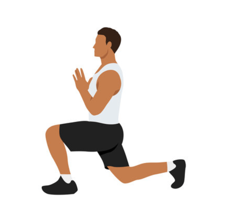 장난감을 활용한 고양이 유산소 운동 노하우