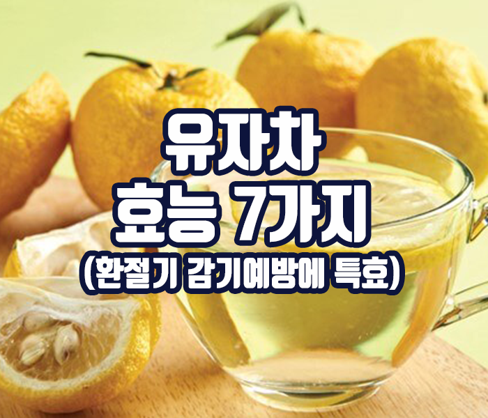 유자차 효능 7가지 소개