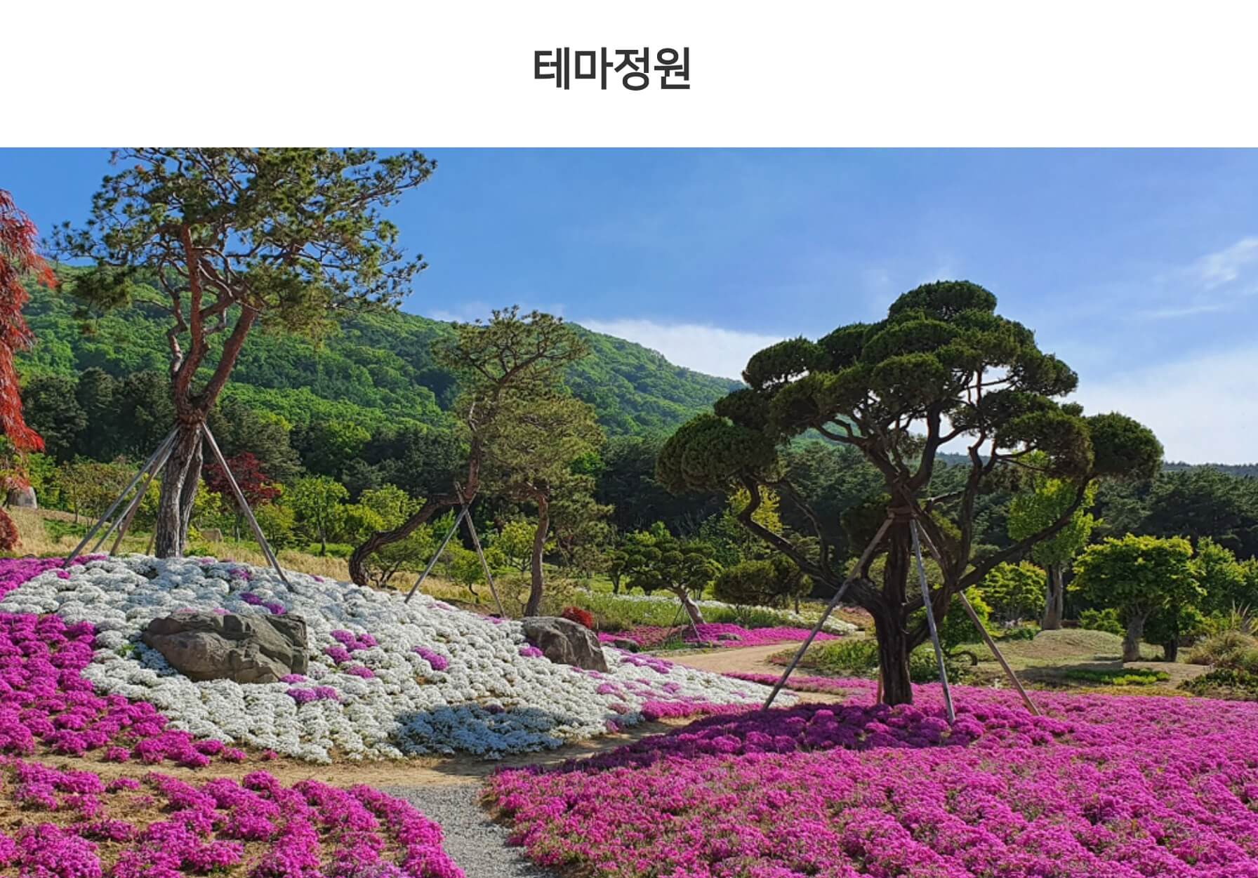 가산수피아 플라워 페스티발