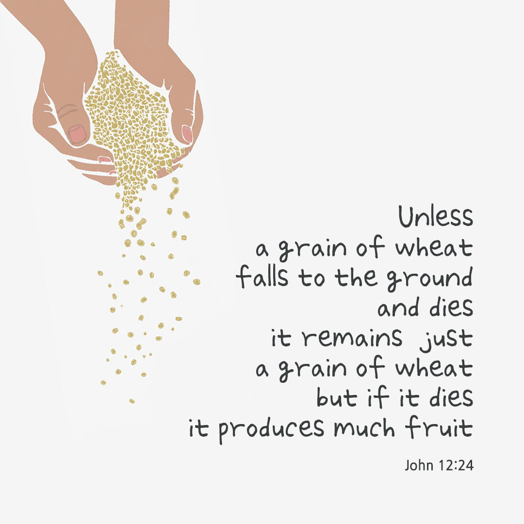 Today's Bible verse card John 12:24 scripture image
