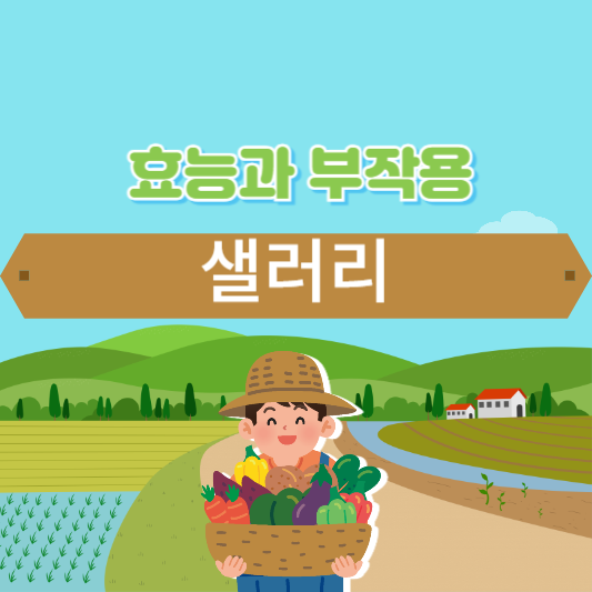 샐러리 효능과 부작용