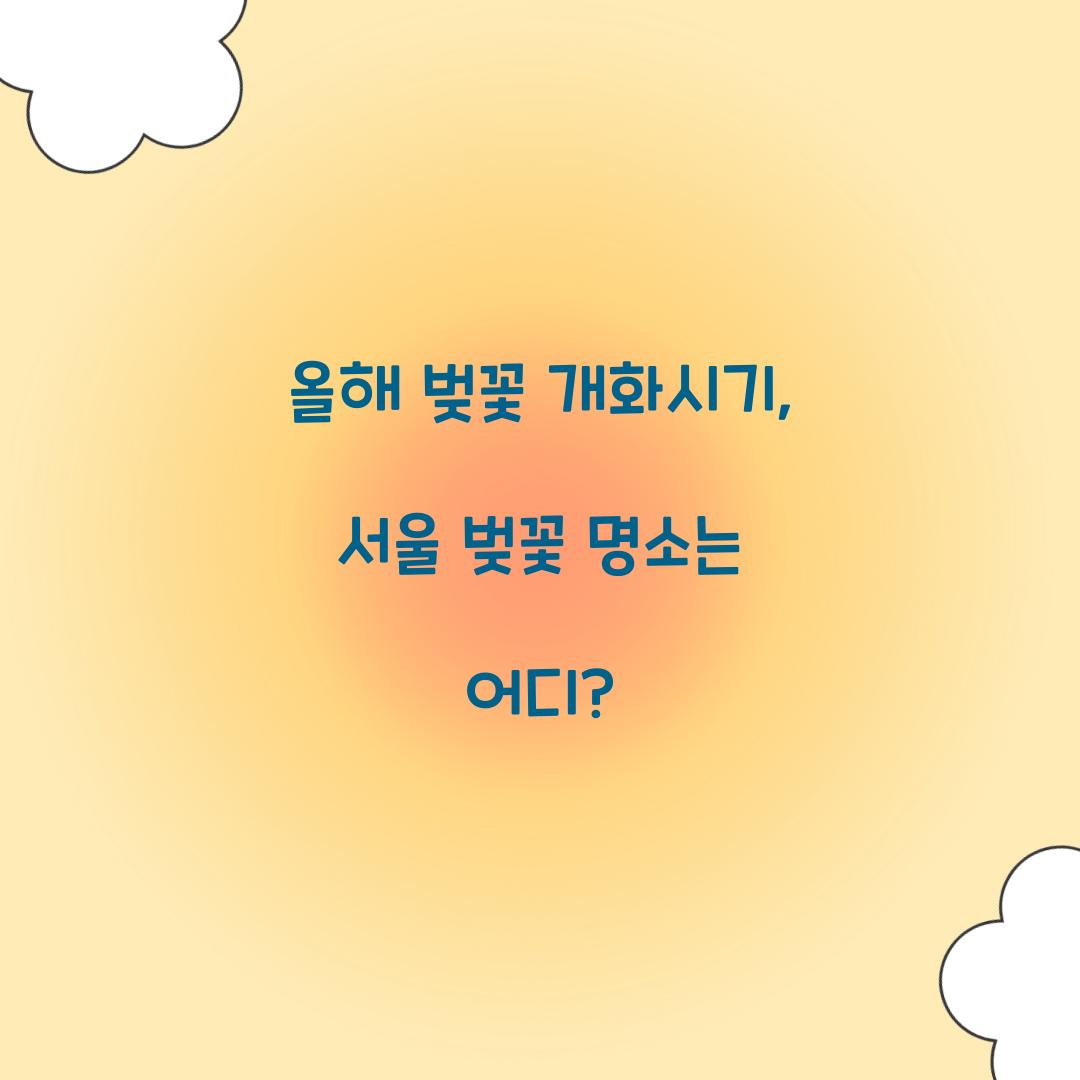 올해 벚꽃 개화시기