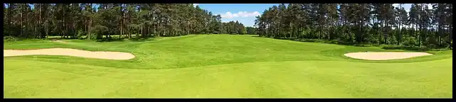 파크골프 용어 정리 (+ 해설 )