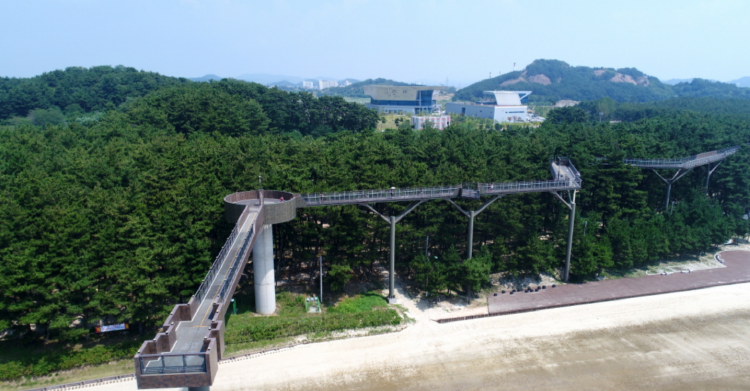 장항송림산림욕장 장항스카이워크