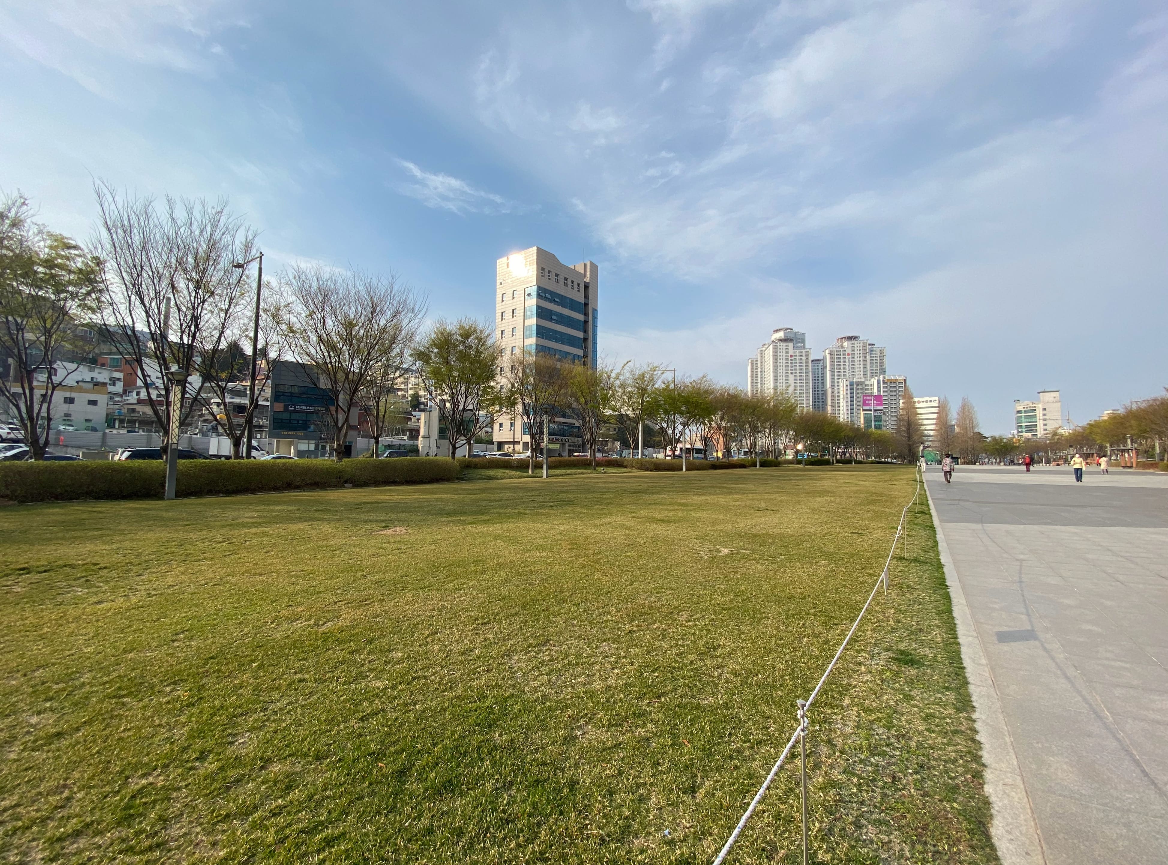송상현광장-잔디