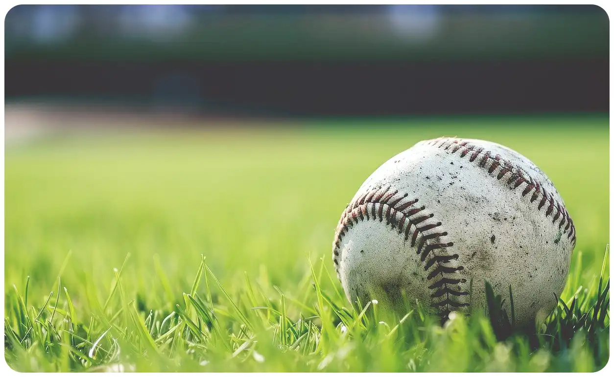 WBC와 WBSC(프리미어 12) 야구의 차이점