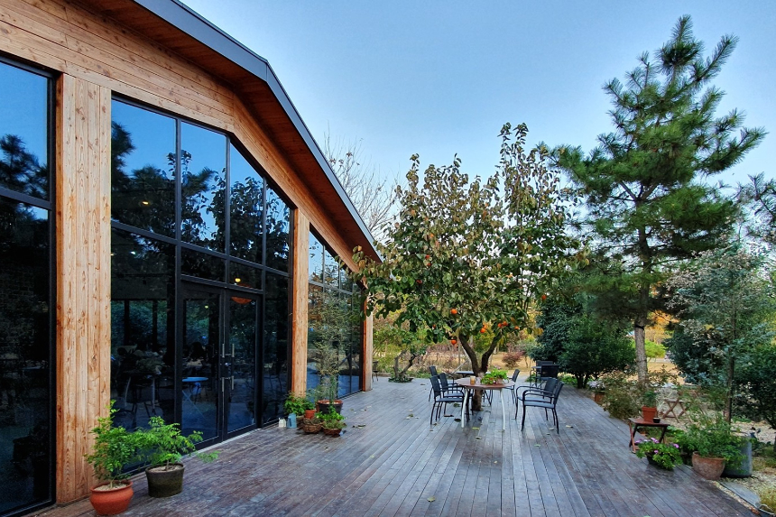 특색있고 아름다운 민간 정원 30선 추천 여행 - 11. 경주 야생화일기 정원