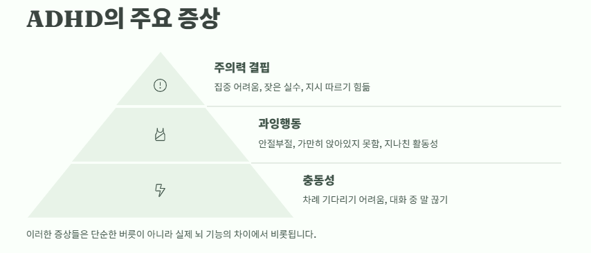 ADHD 증후군: 증상 원인 자가진단 치료법 및 관리방법