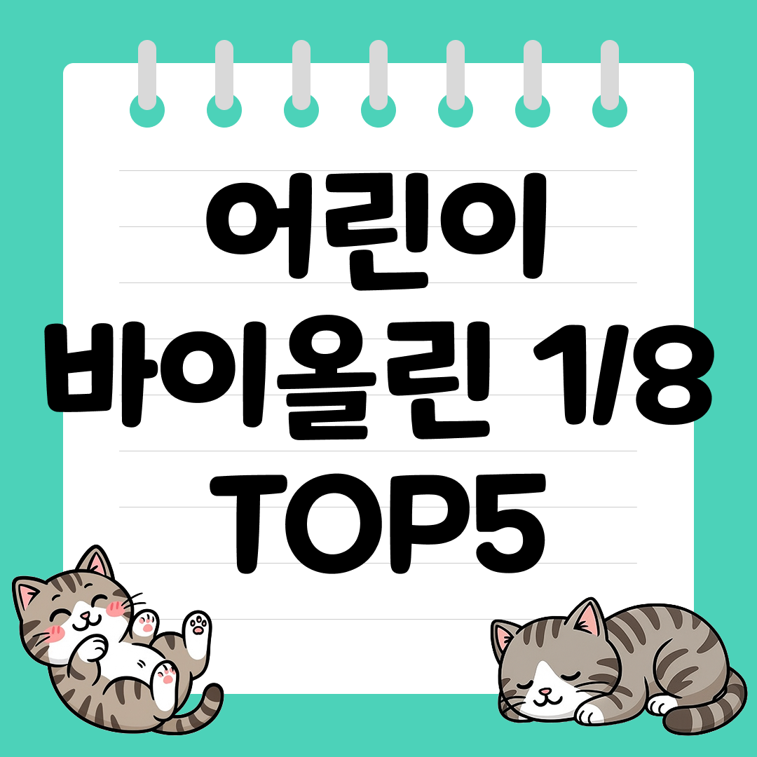 유아 입문용 사이즈 바이올린 1/8 추천 순위 TOP5