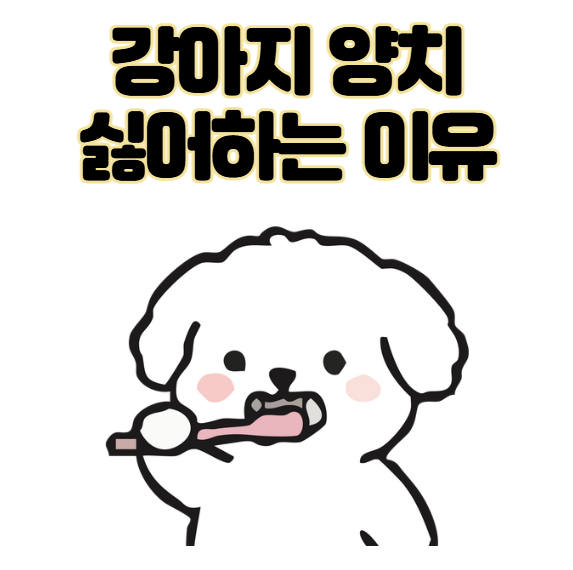 강아지 양치 싫어하는 이유 3가지 다른 관리 방법은? 여기 있음