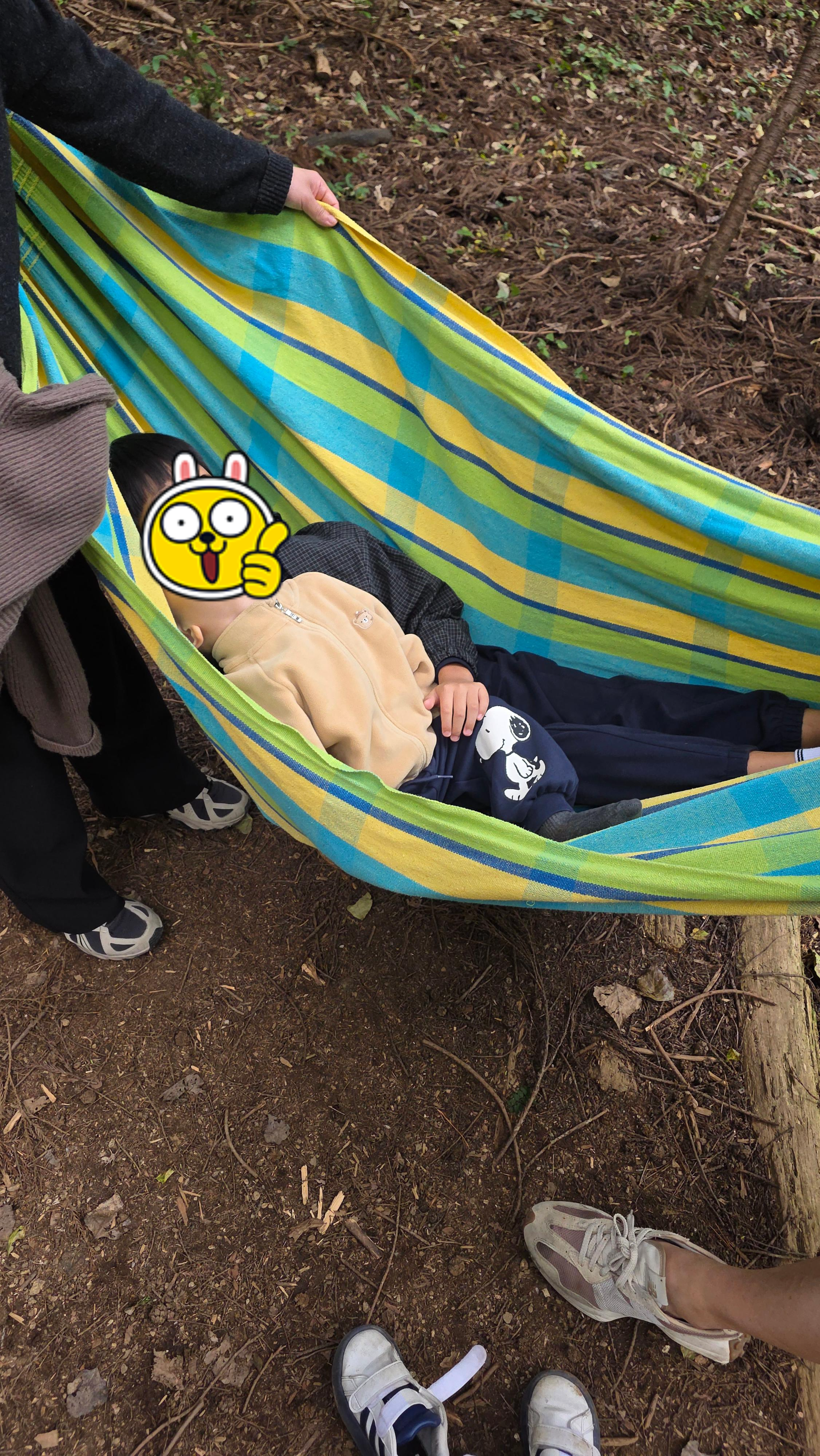 백운산 치유의 숲 추천! 힐링과 체험 예약 방법 정리