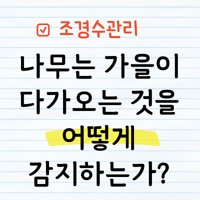 나무의 가을 감지