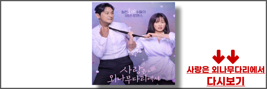 사랑은 외나무다리에서 재방송