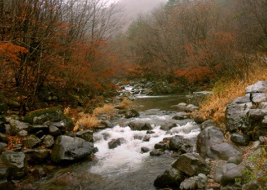 [강원도 여행지 추천] 화천 가볼만한 곳 베스트 10 비수구미계곡