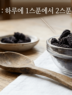 오디 하루 섭취량