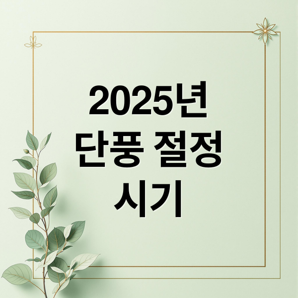 2025 단풍 절정 시기, 놓치면 후회! 전국 명소 & 여행 꿀팁