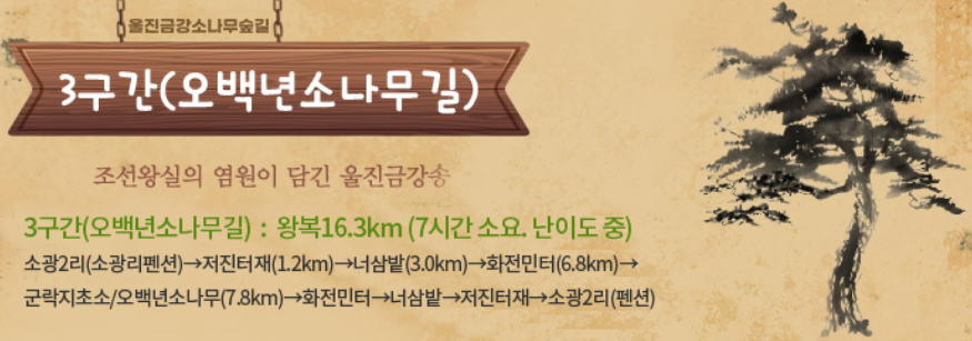 울진 금강소나무숲길