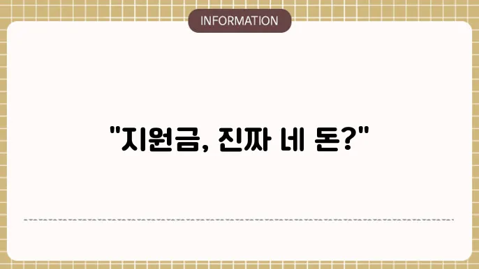 정부 지원금 부정수급 사례 및 방지