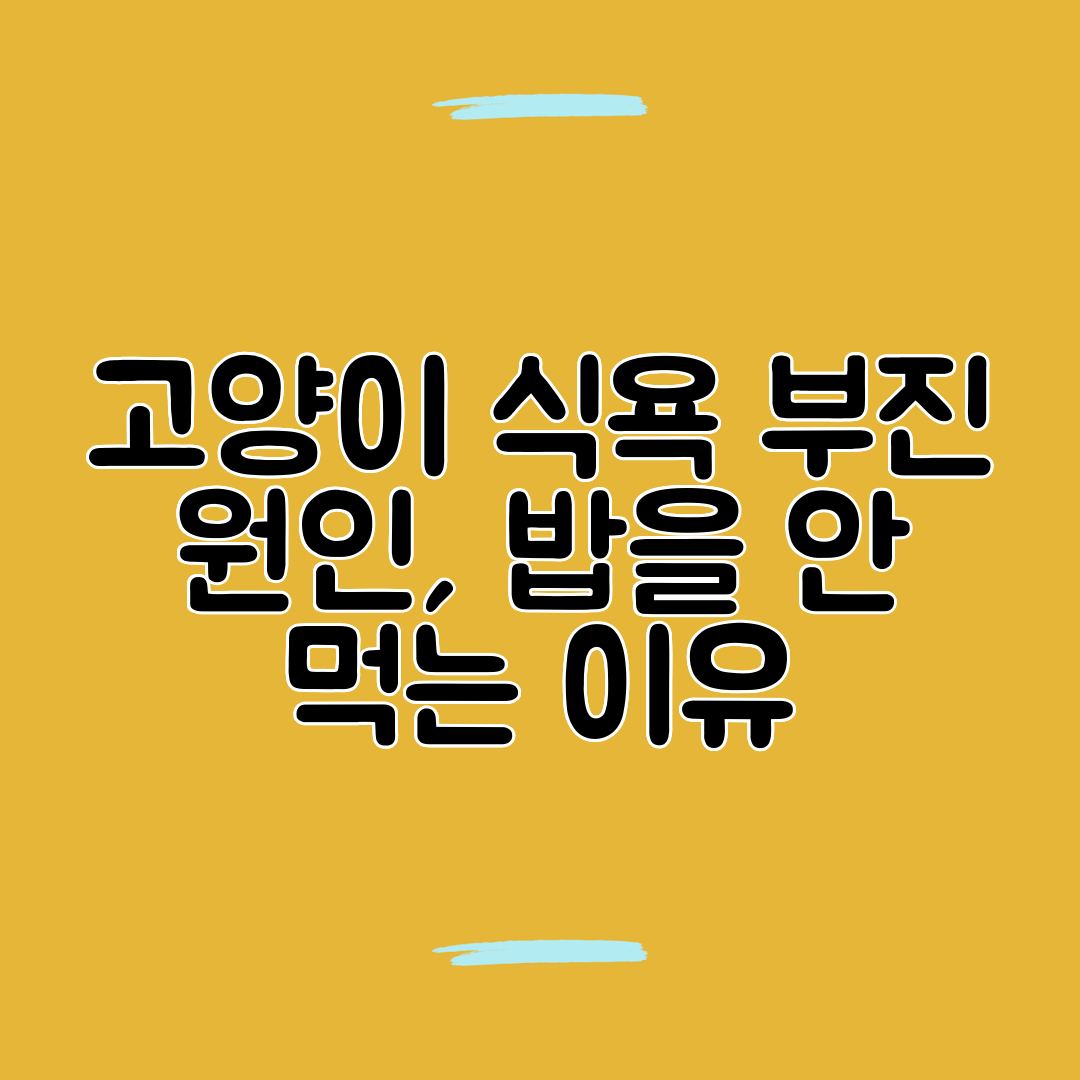 고양이 식욕 부진 원인, 밥을 안 먹는 이유