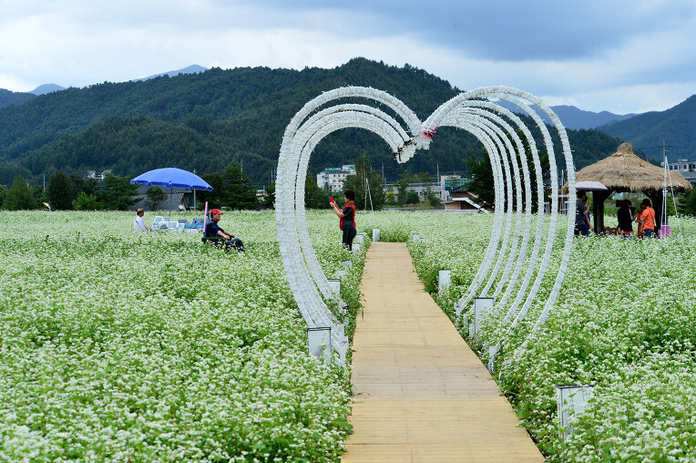 9월 첫째 주 축제 일정