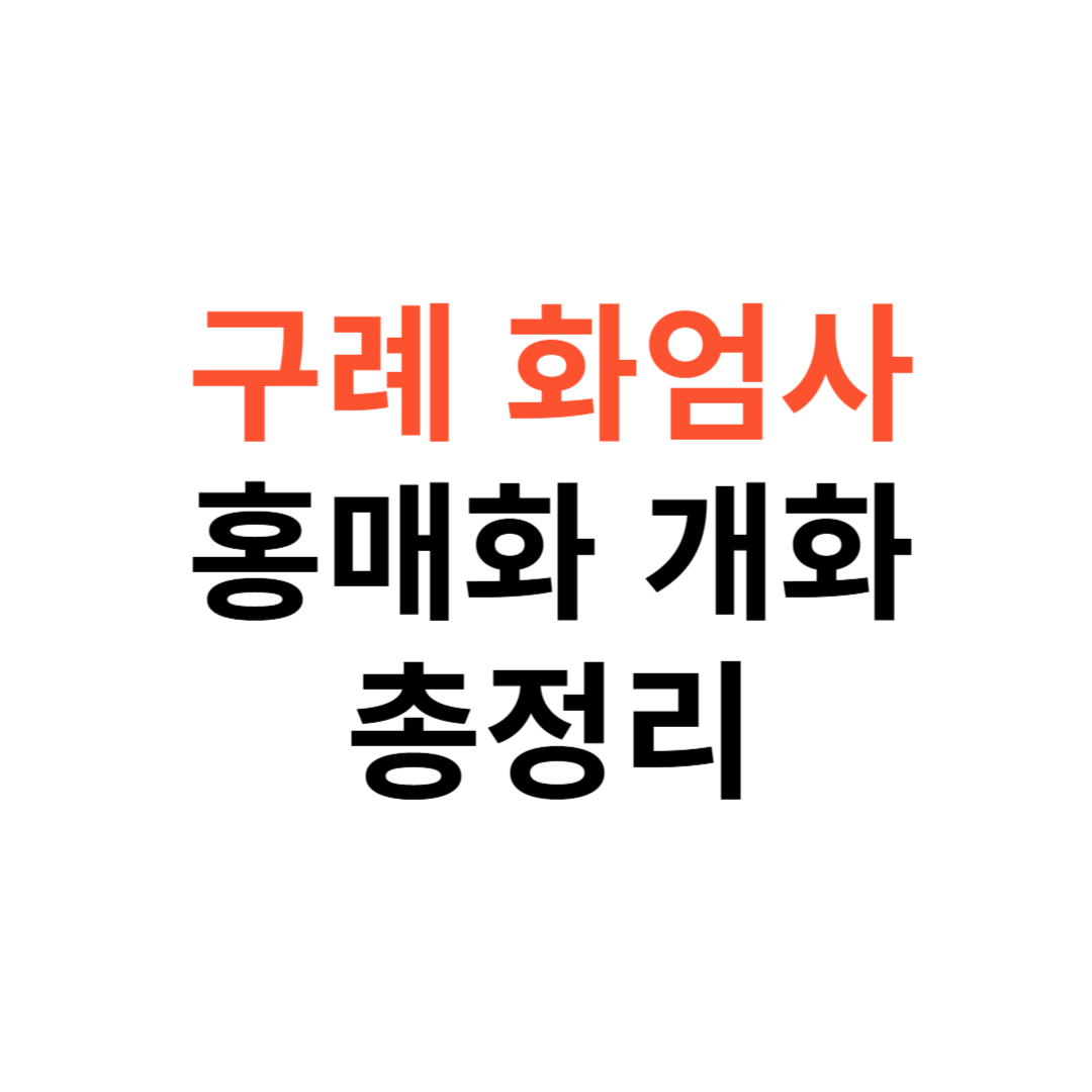 구례 화엄사 홍매화