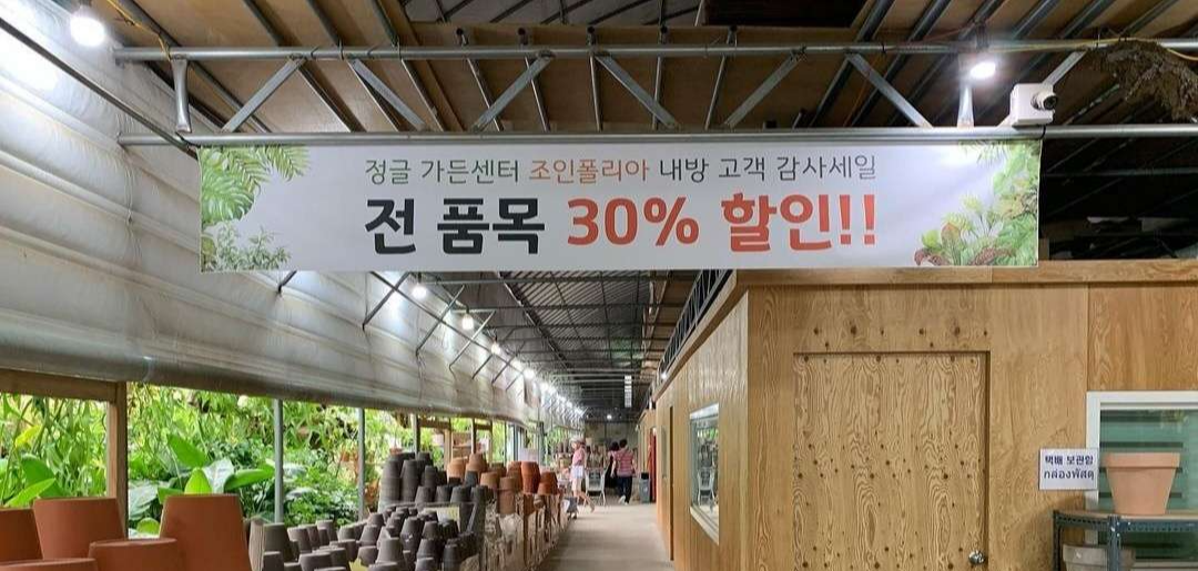 나혼자산다 식물원 조인폴리아 율마