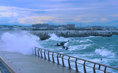 2024년 태풍 예상