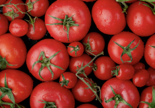 유방암에 좋은음식 17