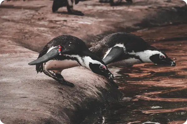 차상위계층 조건