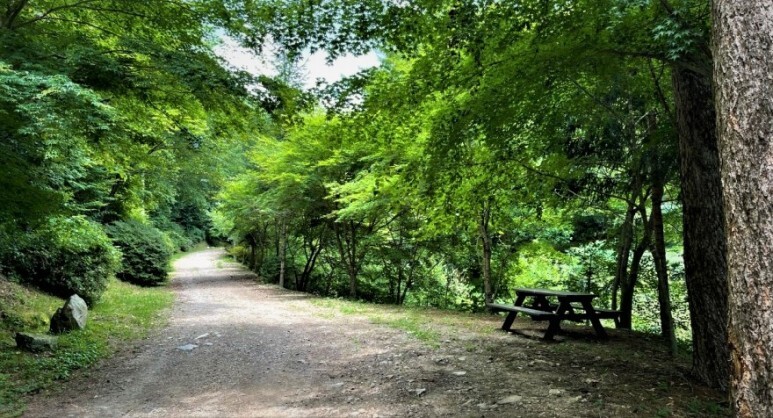 덕유산 자연휴양림