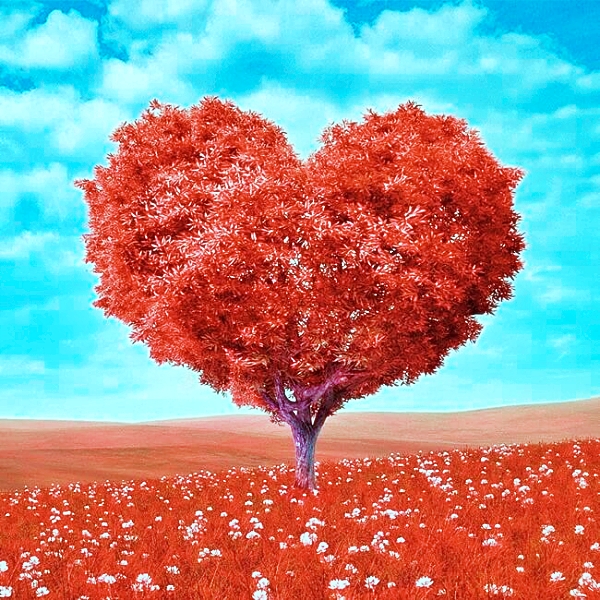 생리하는 꿈