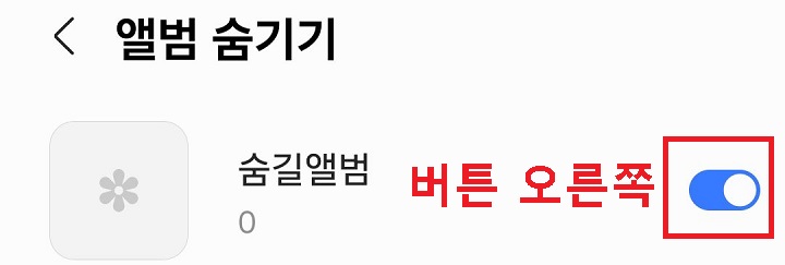 앨범 숨기기 페이지 보임