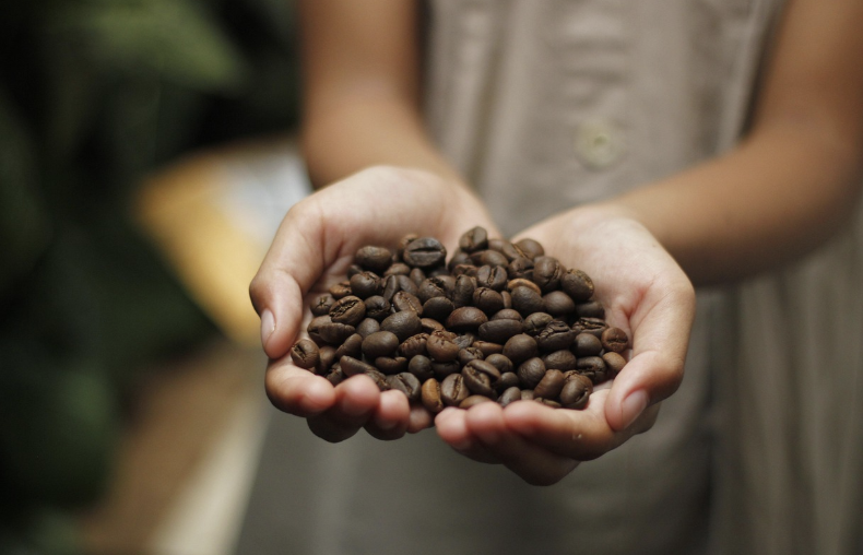 기후 위기 시대, 커피는 사라질까? 지속 가능한 커피 산업 이야기
