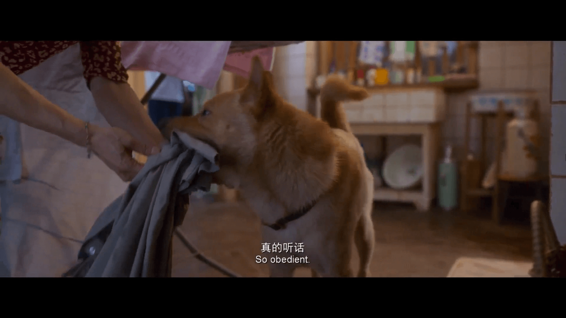 영화대사