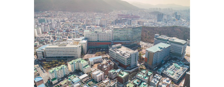 청도군 교정 치과