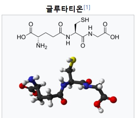 글루타치온(글루타티온, Glutathione)의 효능, 필수 확인사항 및 부작용, 주요 제품비교