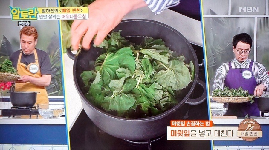 봄나물종류와효능 냉이 달래 쑥 두릅 씀바귀 머위 돌나물