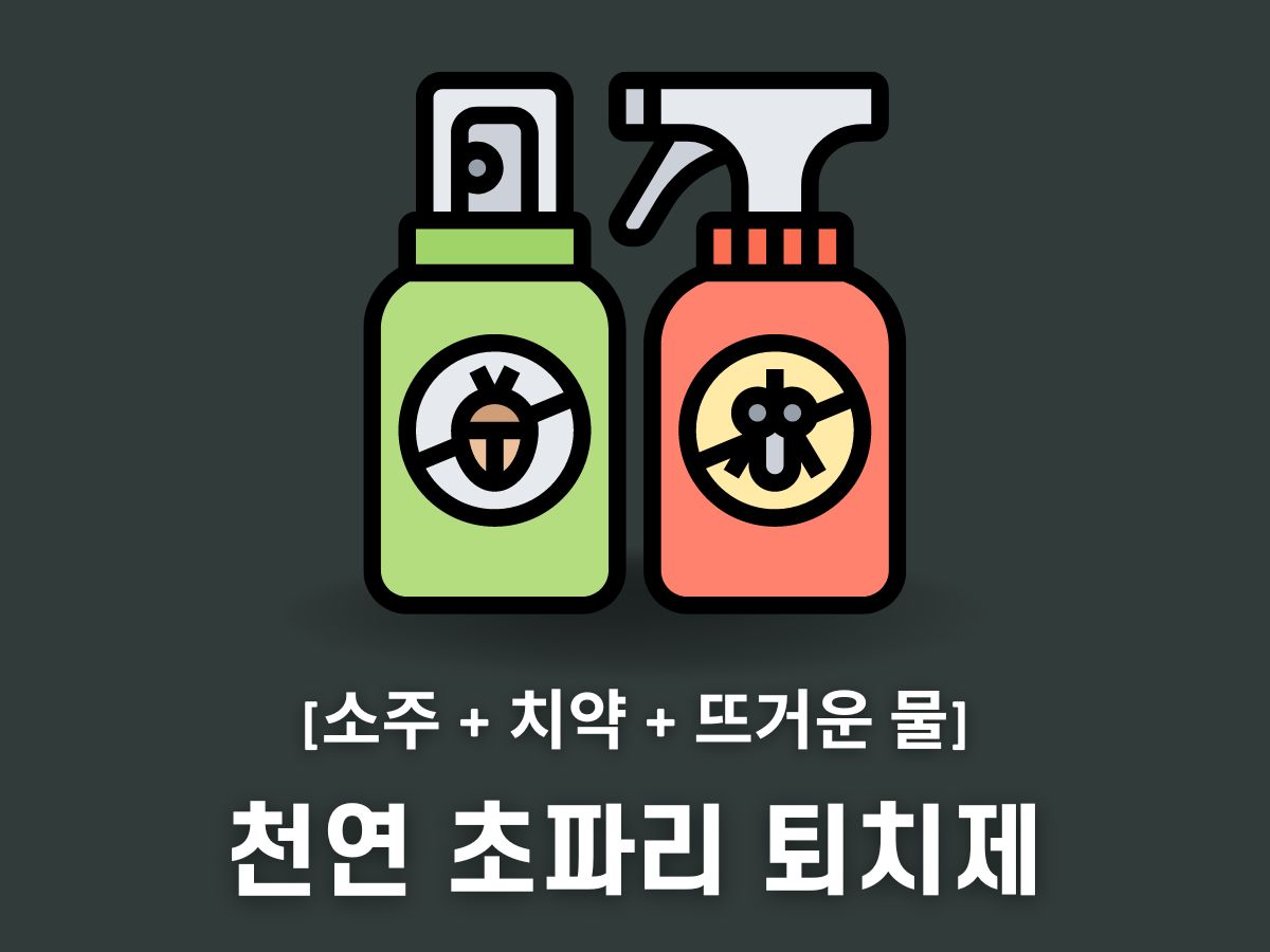 천연 초파리 퇴치제