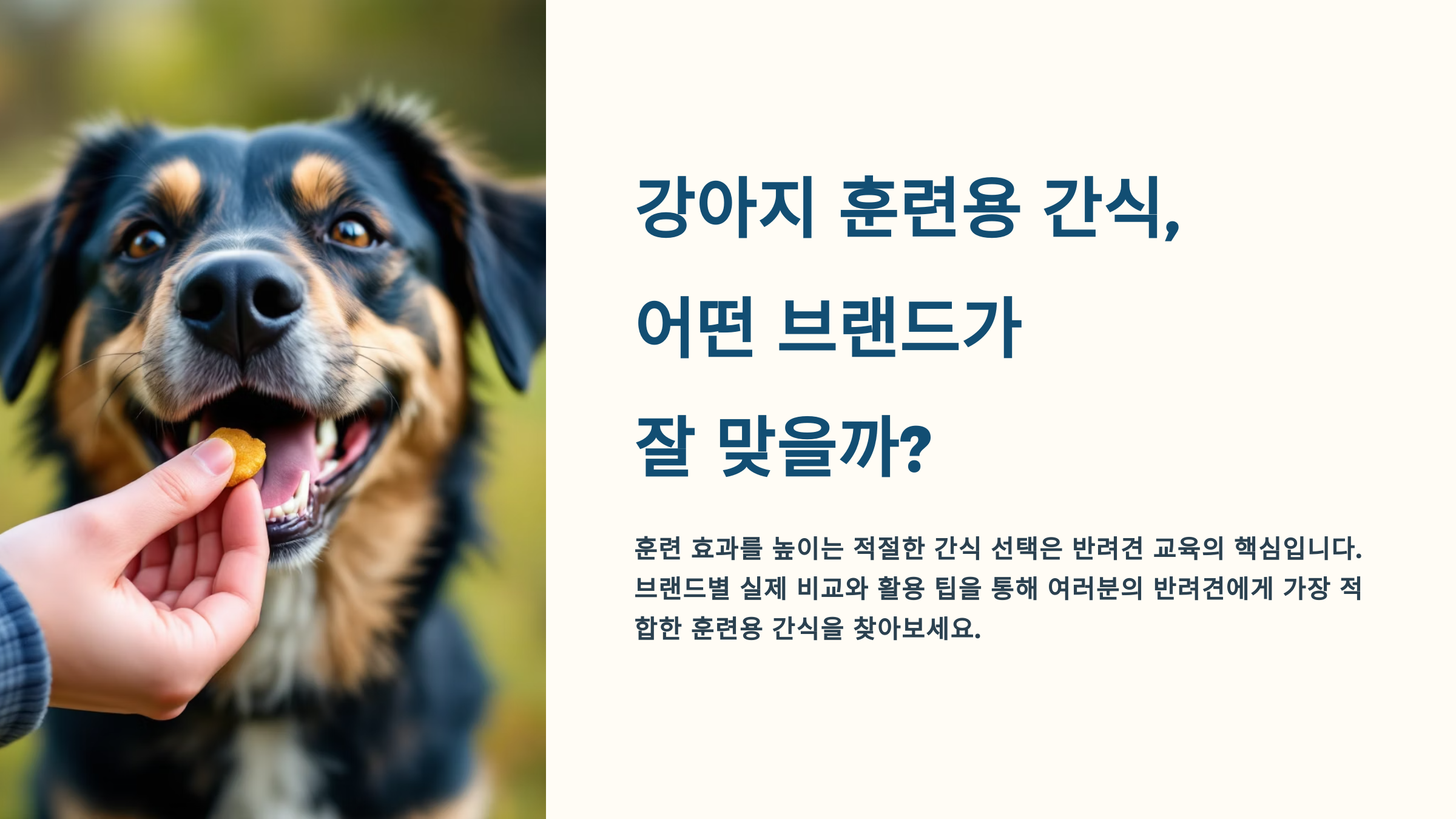 강아지 훈련용 간식, 어떤 브랜드가 잘 맞을까?